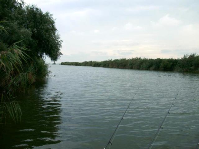 delta rosu 2012 - 387439.jpg